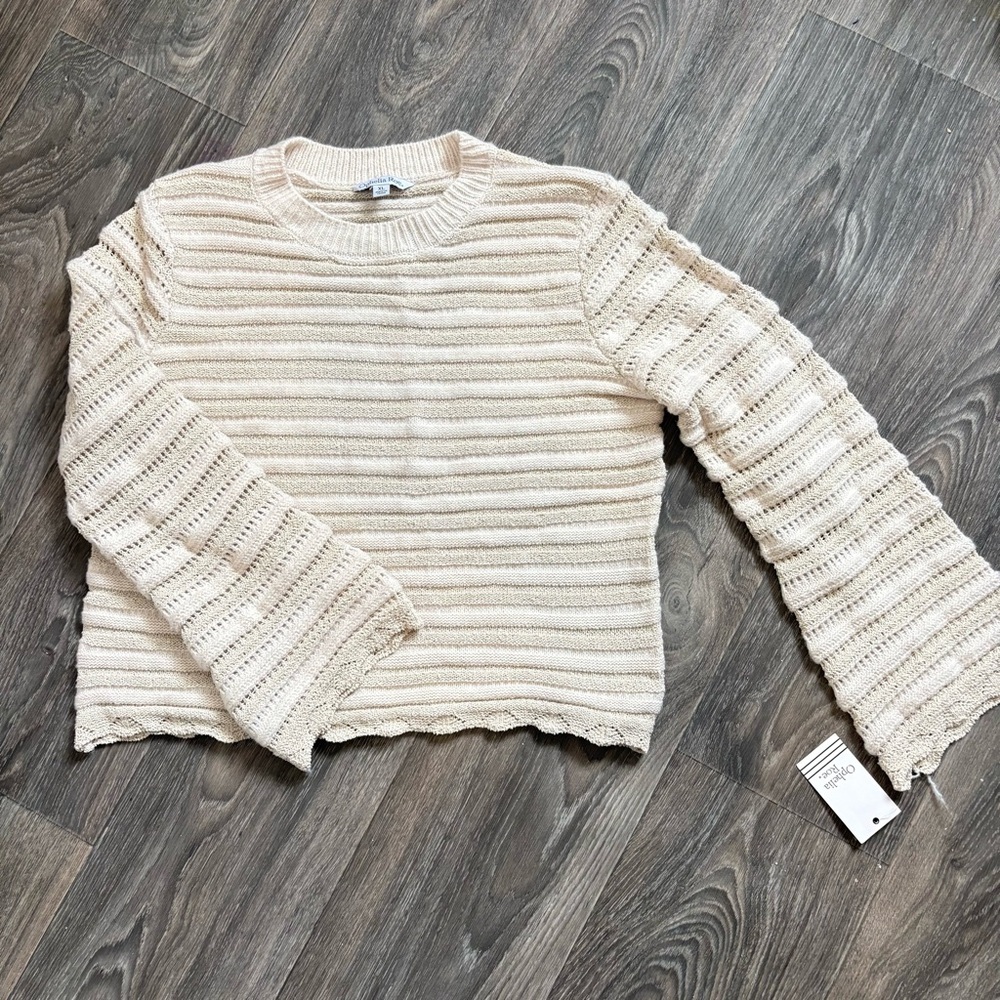 NWT Striped sweater scalloped hem bell sleeves